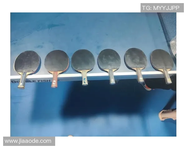 李丽独家分享乒乓球技巧与心得助你提升球技的秘密武器